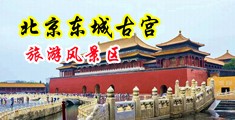 欧亚美女大毛中国北京-东城古宫旅游风景区